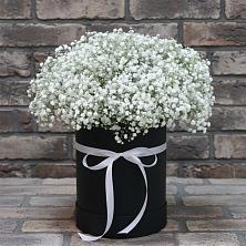 Цветочная композиция из Гипсофила в шляпной коробке в Новолеушковской