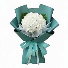 Букет цветов из:  Гортензия в Новолеушковской